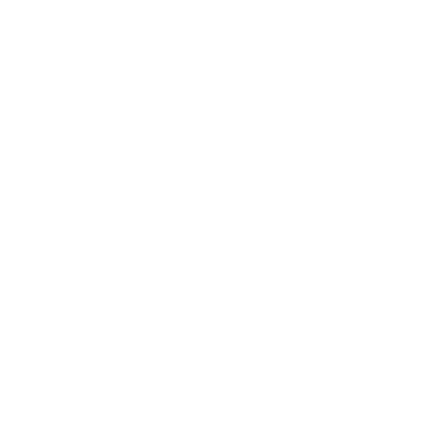 barniz-automocion-carreto